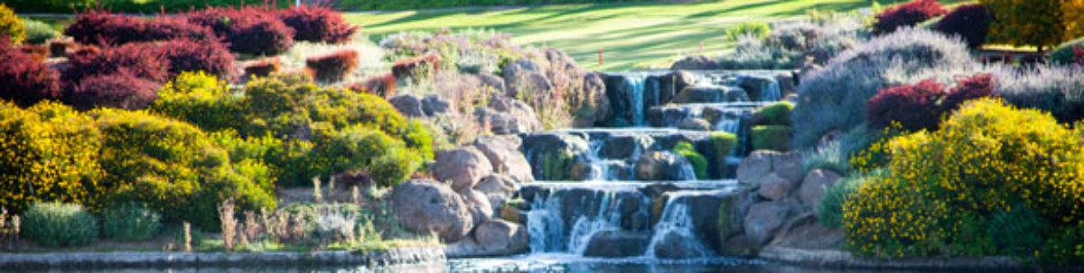 Villages Pinseekers Club, San Jose, CA